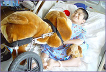 Ryan with stuffed dog in cart at hospital